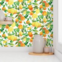 Watercolor Oranges and Lemons - on white