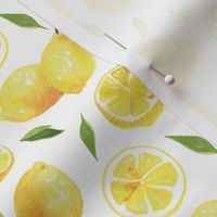 Watercolor Lemons - on white