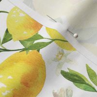 Watercolor Lemons - on white