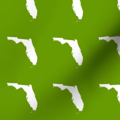 Florida silhouette - 3" white on leaf green