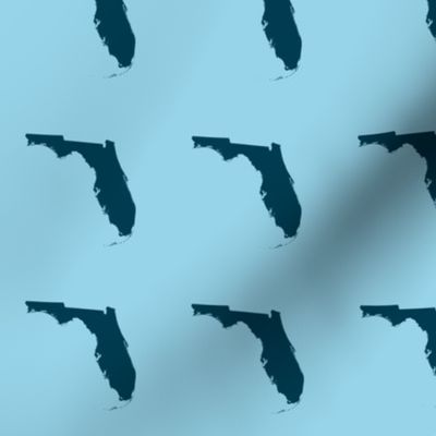 Florida silhouette - 3" navy on light blue
