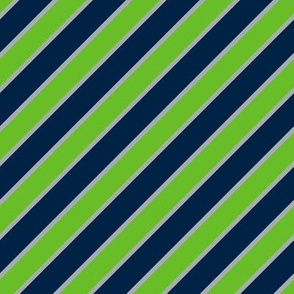 Seattle Seahawks Team colors