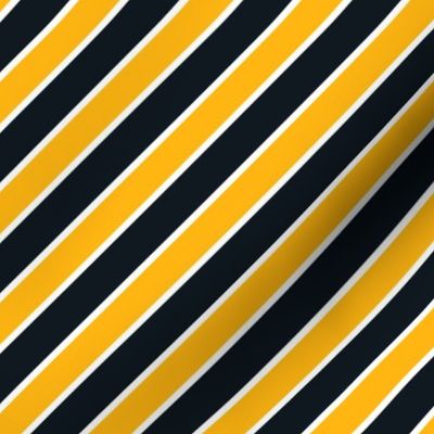 Pittsburgh Steelers team colors