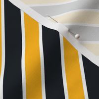 Pittsburgh Steelers team colors