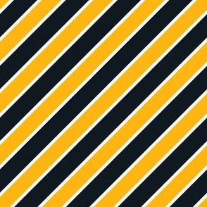 Pittsburgh Steelers team colors