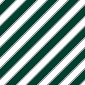 New York Jets team colors