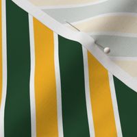 Green Bay Packers Team colors