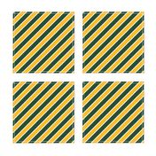 Green Bay Packers Team colors