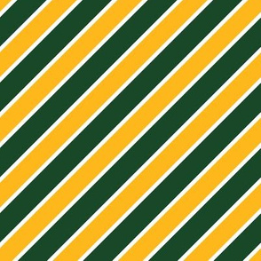 Green Bay Packers Team colors