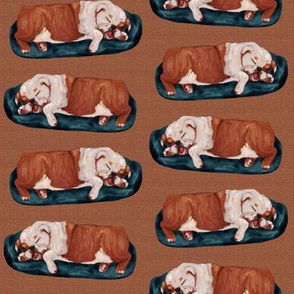 English Bulldog Napping