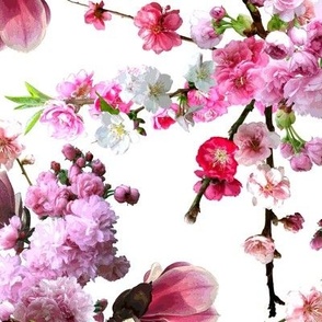 Japanese Magnolia & Cherry Blossoms White