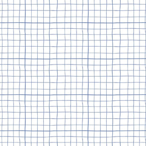 Wonky grid with blue lines on white ground
