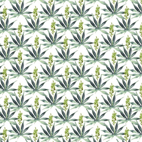 Watercolor Agave Plant Pattern