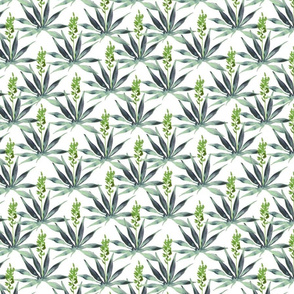 Agave Watercolor Pattern 