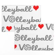 Love Volleyball Large Scale