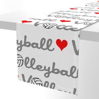 Love Volleyball Large Scale