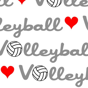 Love Volleyball Large Scale