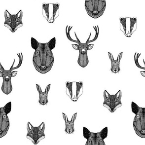 woodland animals // badger, fox, rabbit, boar, hog, deer, buck, doe, white