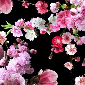Japanese Magnolia & Cherry Blossoms Black