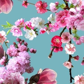 Japanese Magnolia Cherry & Blossoms Turquoise