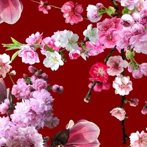 Japanese Magnolia Cherry Blossoms Maroon