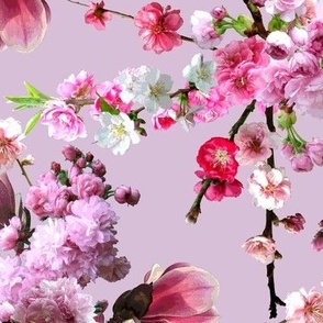 Japanese Magnolia & Cherry Blossoms Thistle