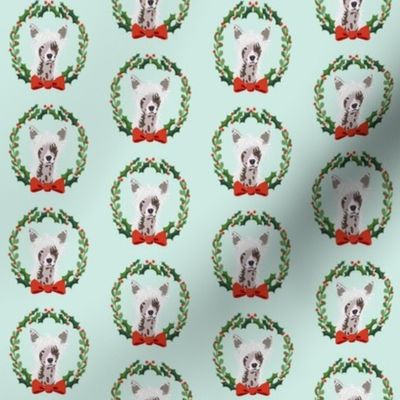 christmas chinese crested fabric - dog, dogs, wreath, noel, yule, red and green, holiday christmas fabric