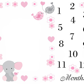 Pink Elephant Baby Girl Milestone Month Blanket