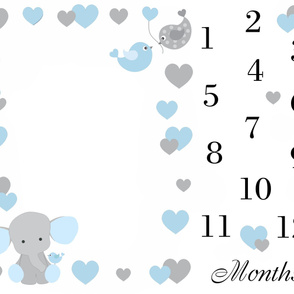 Blue Elephant Baby Boy Milestone Month Blanket