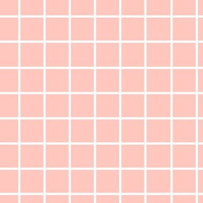 IBD Pink Squares C