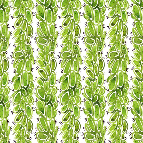 Cactus Plant Stripes in Watercolor