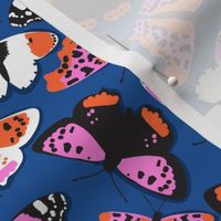 butterflies pattern-01