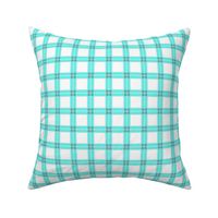 Chubby not -a-  Bunny  -nursery plaid  