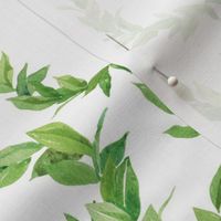 Watercolor Laurel Wreath - Green and white