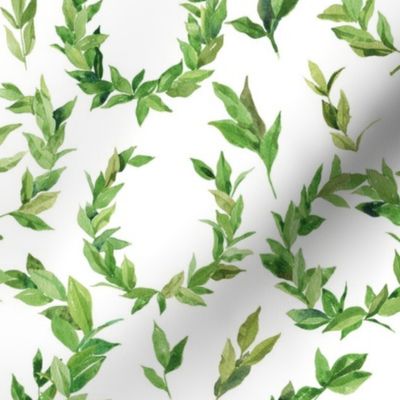 Watercolor Laurel Wreath - Green and white