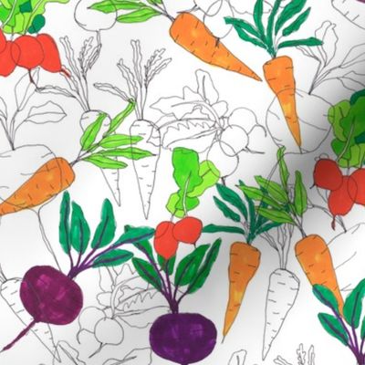 sketch vegetables!