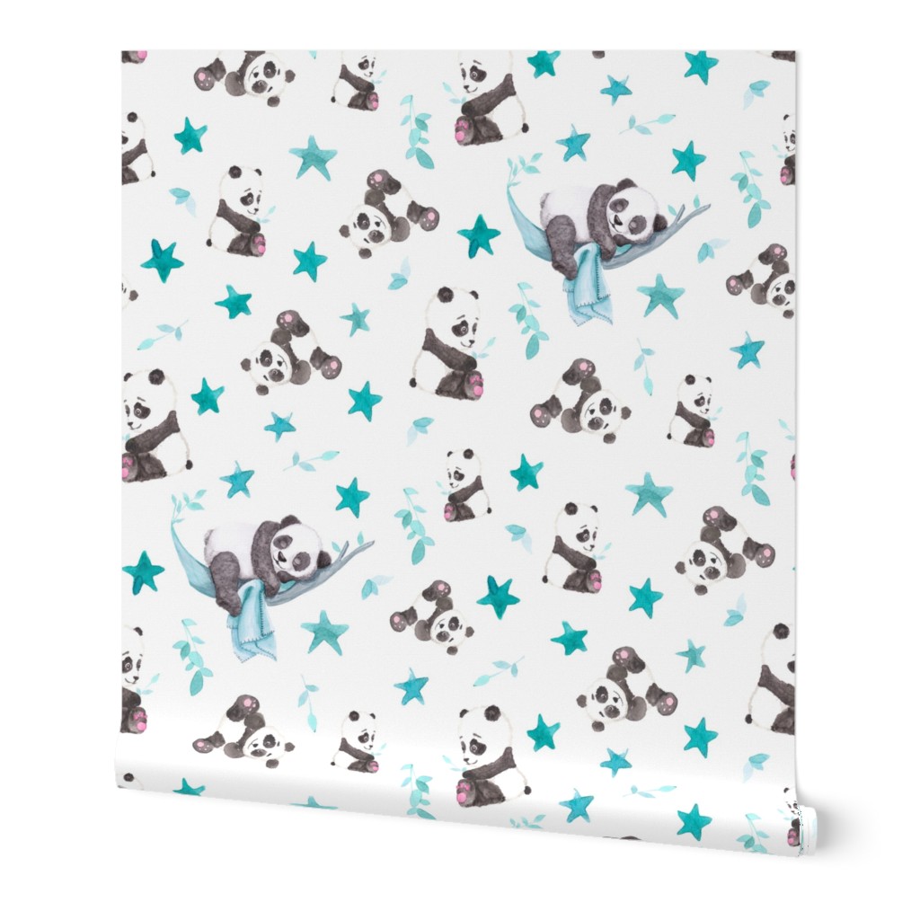 Baby Panda Bears on White