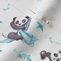 Baby Panda Bears on White