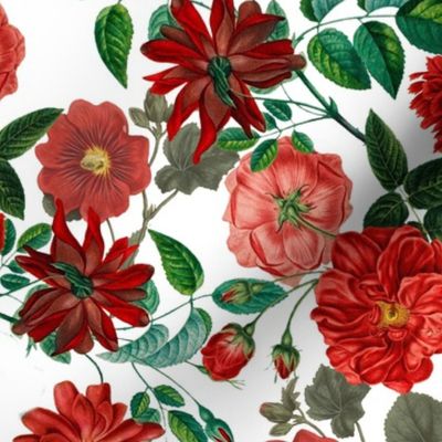 Nostalgic Red Pierre-Joseph Redouté Flowers, Antique Bloom Bouquets, Vintage Home Decor,   English Rose Fabric on White