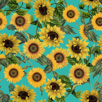 Sunflower Images  Free HD Backgrounds PNGs Vector Graphics  Illustrations  Templates  rawpixel
