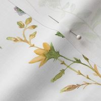 10"  Hand drawn Watercolor wildflowers Flower Herbs Meadow on white