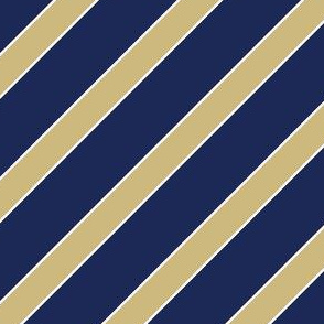 Pittsburg Panhters Blue Gold Stripes Stripe