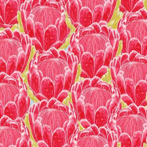 Bright Bold Protea Repeat Pattern