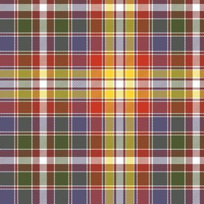 Four Quarters tartan, 6" autumncolors