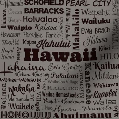 Hawaii cities, dark gray