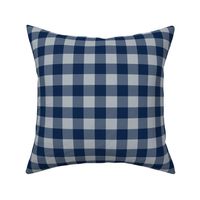 plaid - blue and silver