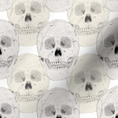 Skulls White Background