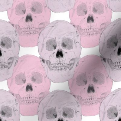 Pink and Purple Skulls on White