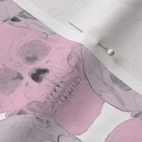 Pink and Purple Skulls on White