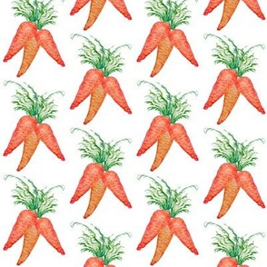  carrot bunch watercolor